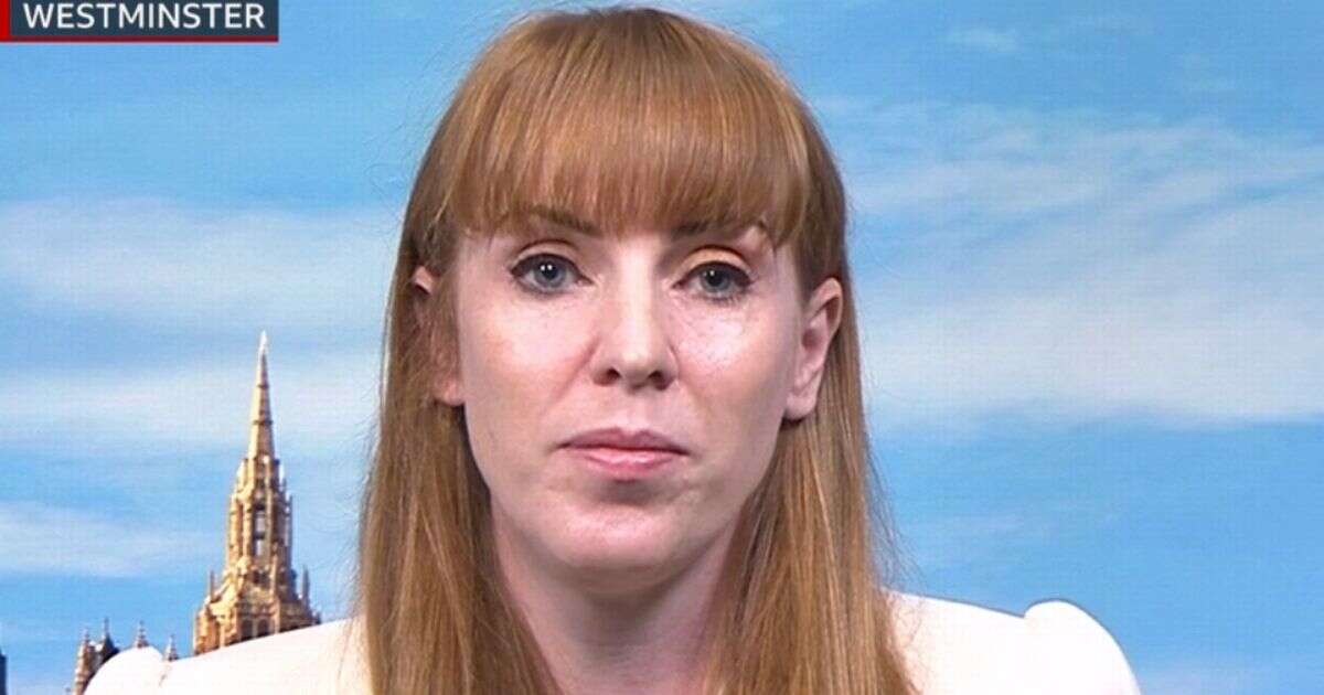 Angela Rayner shares heartbreaking question she gets from kids on school visitsAngela Rayner