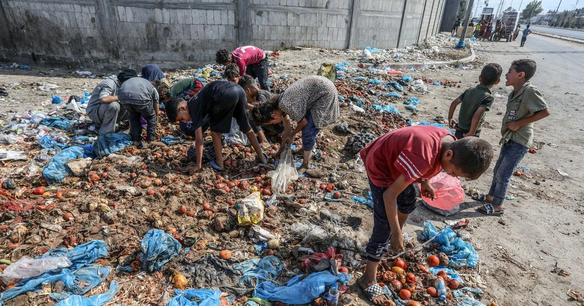 Gaza kids search for food in abandoned rubbish as heartbreaking seige continues