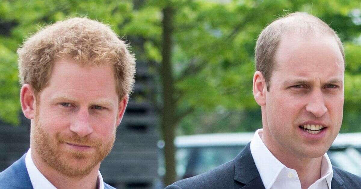 Harry thought he could 'step in' during Royal crisis but William 'drew a line in the sand'