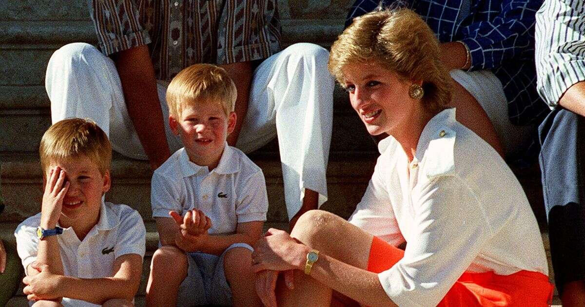 Sad letter from Princess Diana shows what Harry and William were really like before feud