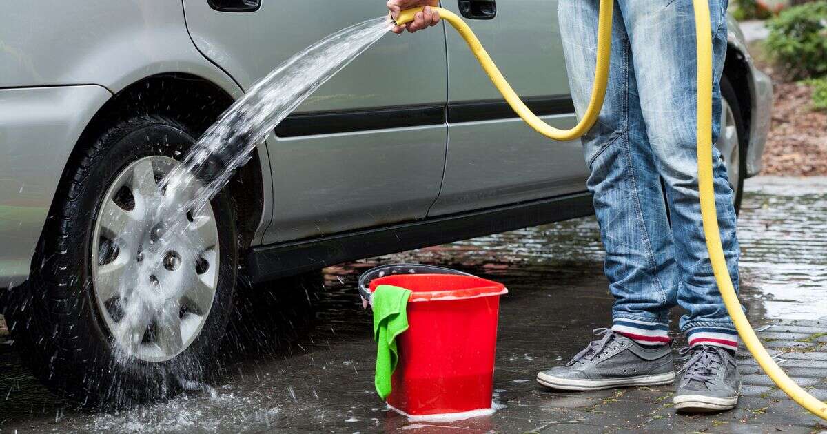 Car expert's £2 hack to remove bird poo without ruining the paintwork