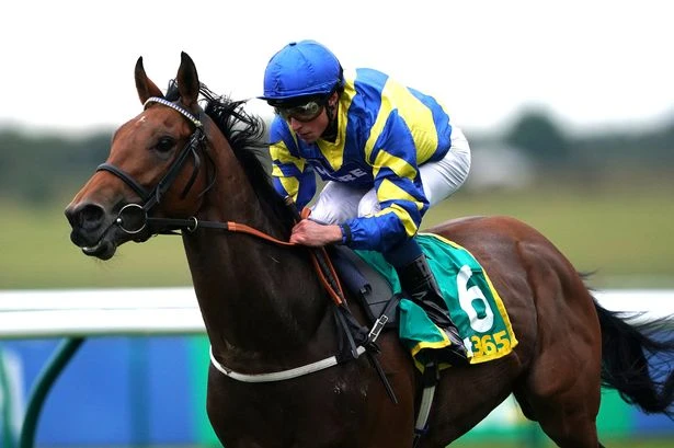 Legendary racehorse Trueshan suffers fatal injury at Glorious Goodwood
