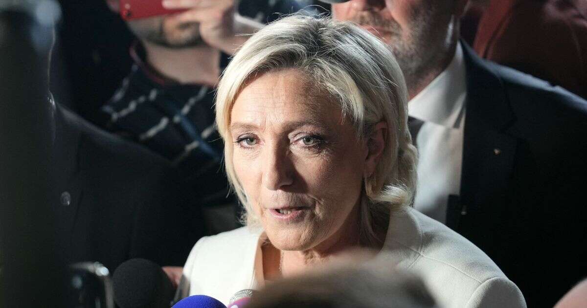 France elections: Far-right leader Le Pen under investigation for 'illegal financing'Marine Le Pen