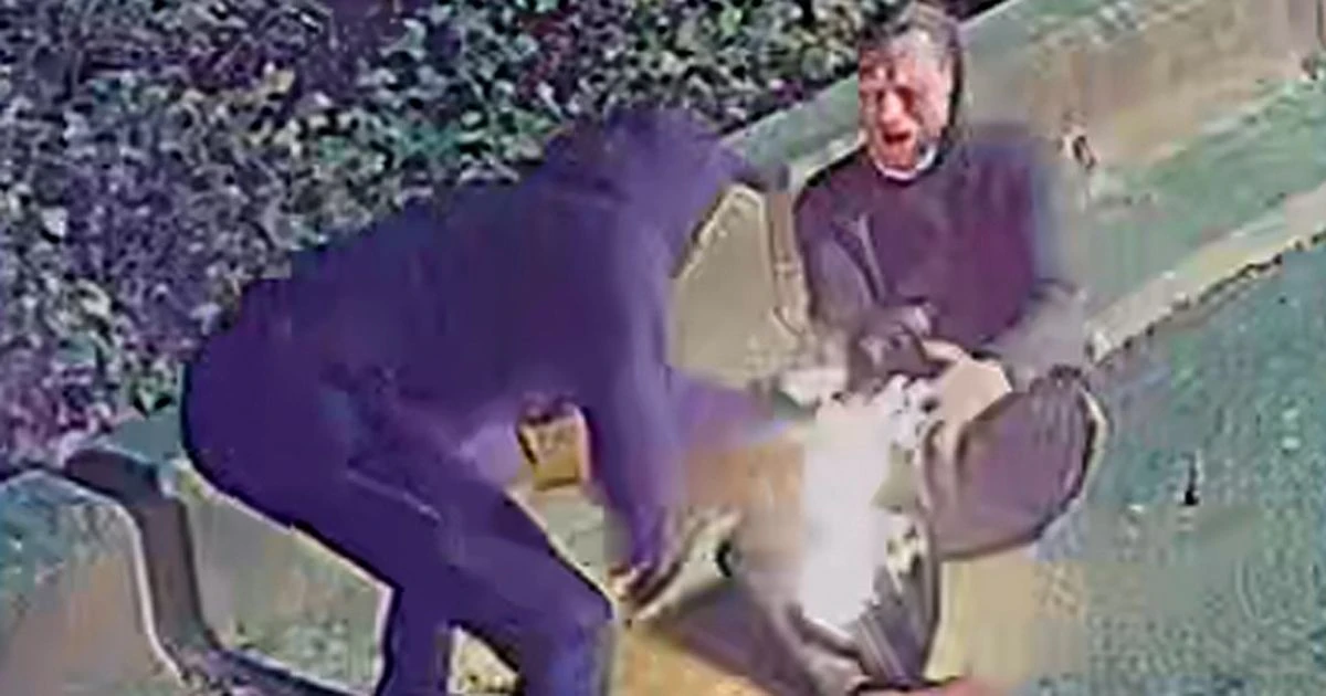 Bungling arsonist sets himself on fire as he tries to torch building