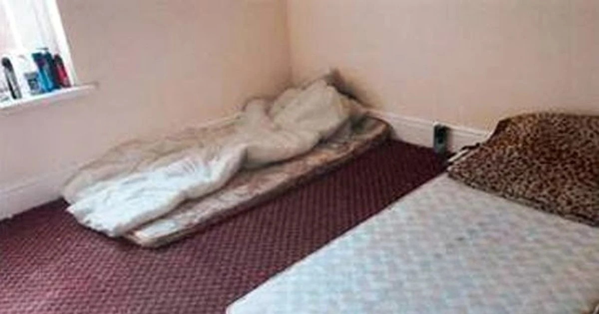 Trafficking gang shipped hundreds of people from Poland to UK to live in squalid homes