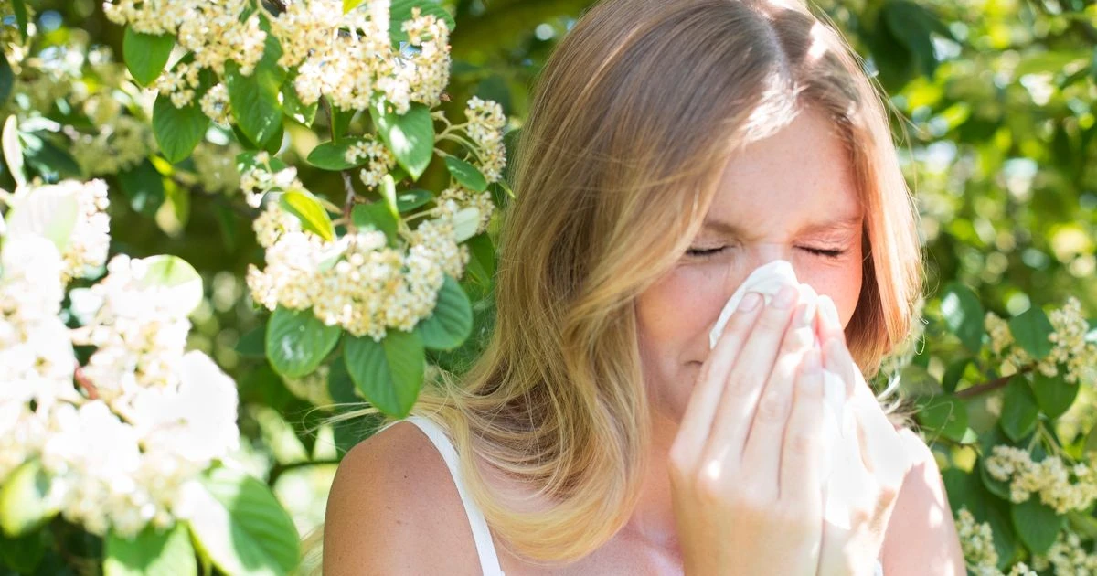 Hay fever symptoms, how can it be treated – and how to tell it apart from Covid-19