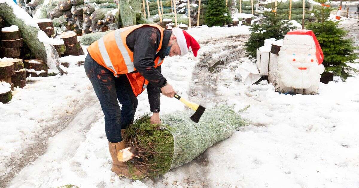 Christmas Day weather: Met Office gives verdict on chances of snow on December 25