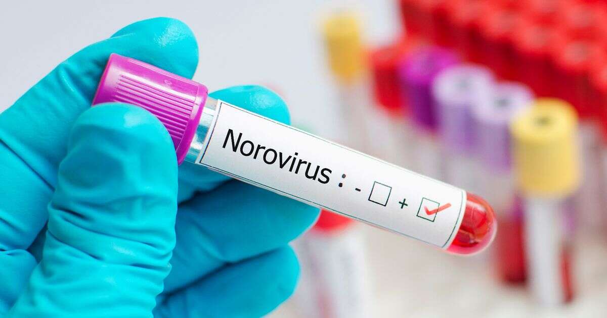 Norovirus symptoms to watch out for as families issued urgent 'stay indoors' warning