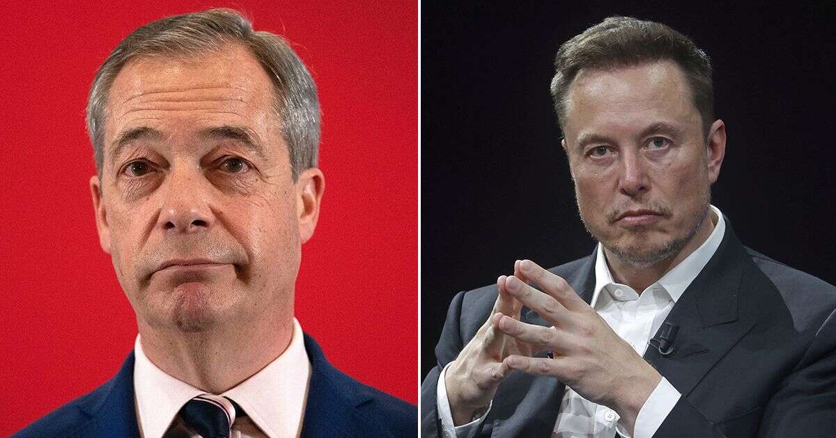 Elon Musk to help Reform overtake Tory Party 'within three months'