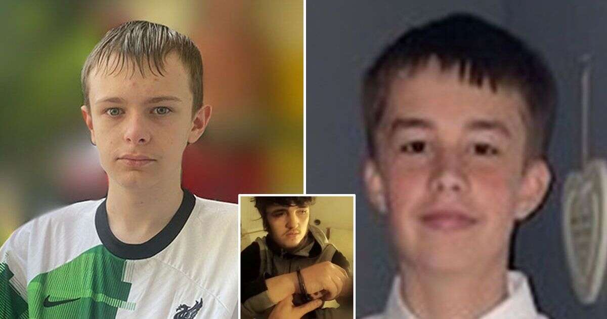 Teens jailed for hacking two boys to death after hunting them 'like a five-a-side team'