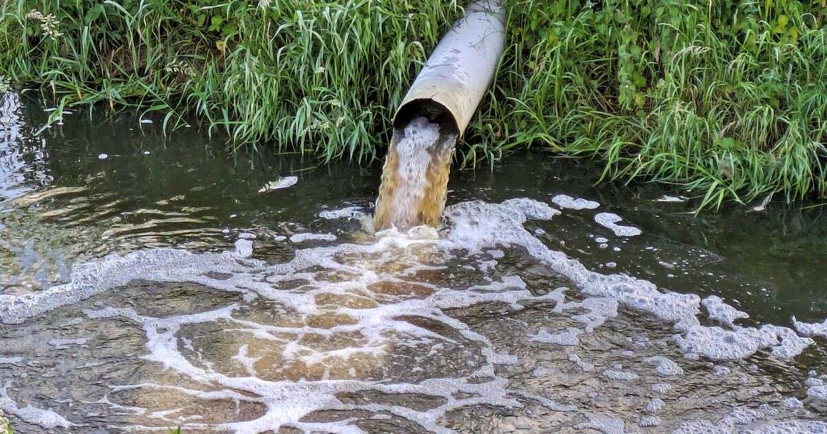 Polluting water bosses to have 'outrageous' bonuses blocked under new law