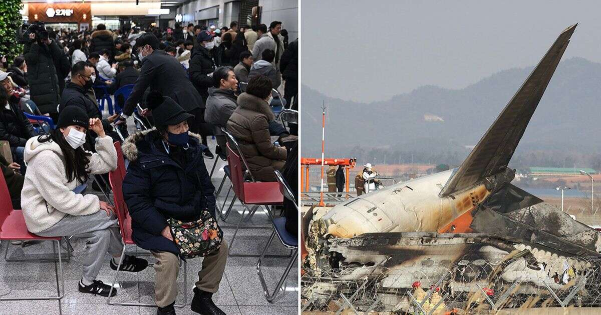 South Korea plane crash flight attendant's haunting question after surviving fireball smash