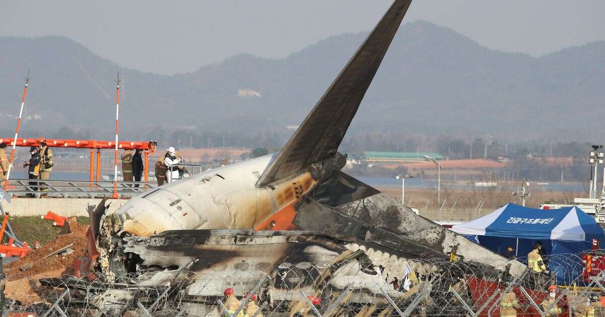 Jeju Air flight attendants' miraculous survival after plane crashes and explodes killing everyone else