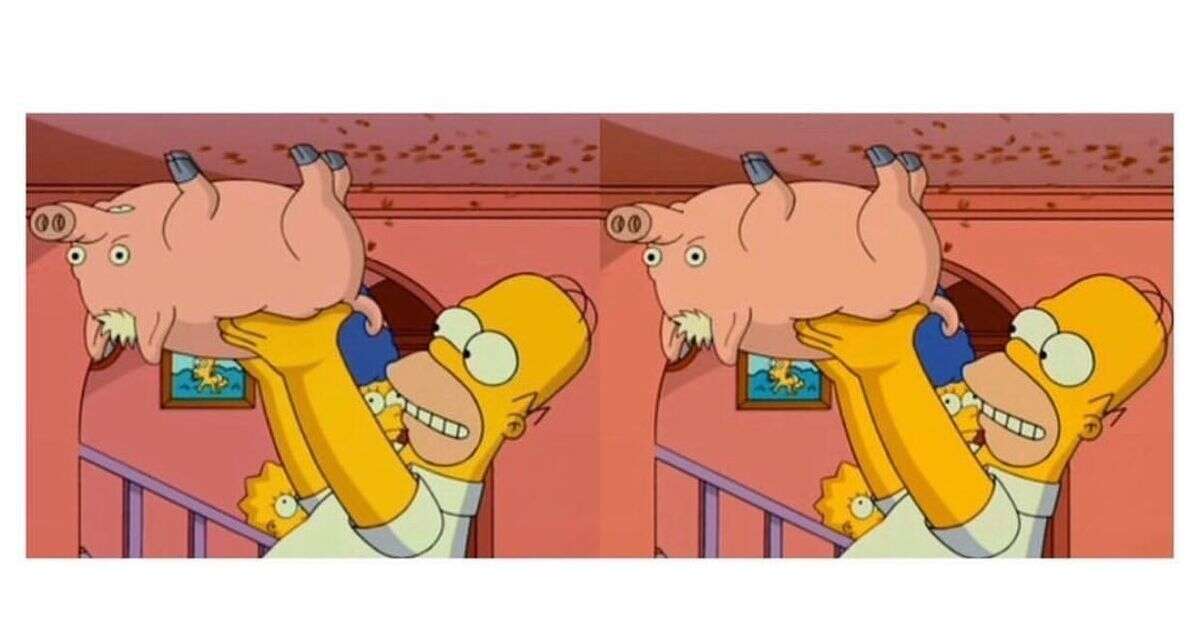 Only a Simpsons super fan can spot all the differences in these two images