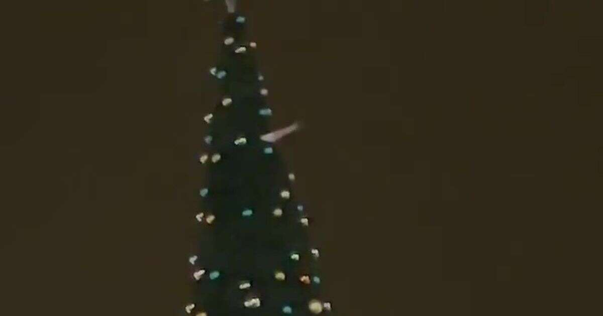 Moment man rescued from top of giant Christmas tree after sparking mass emergency response