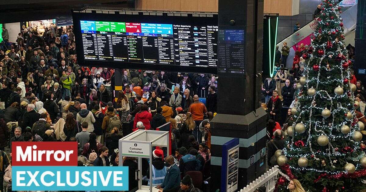 Beat Christmas travel chaos as expert reveals exactly when you should get to the airport