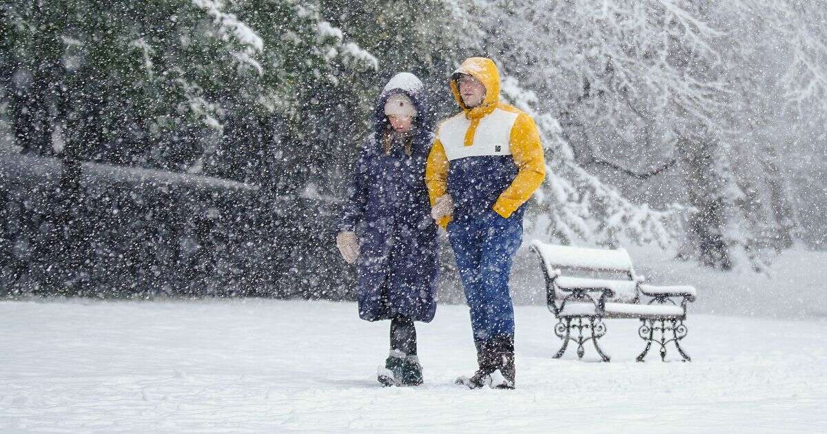 New Year's Day snow maps show '10cm per hour' storm coming with no regions spared