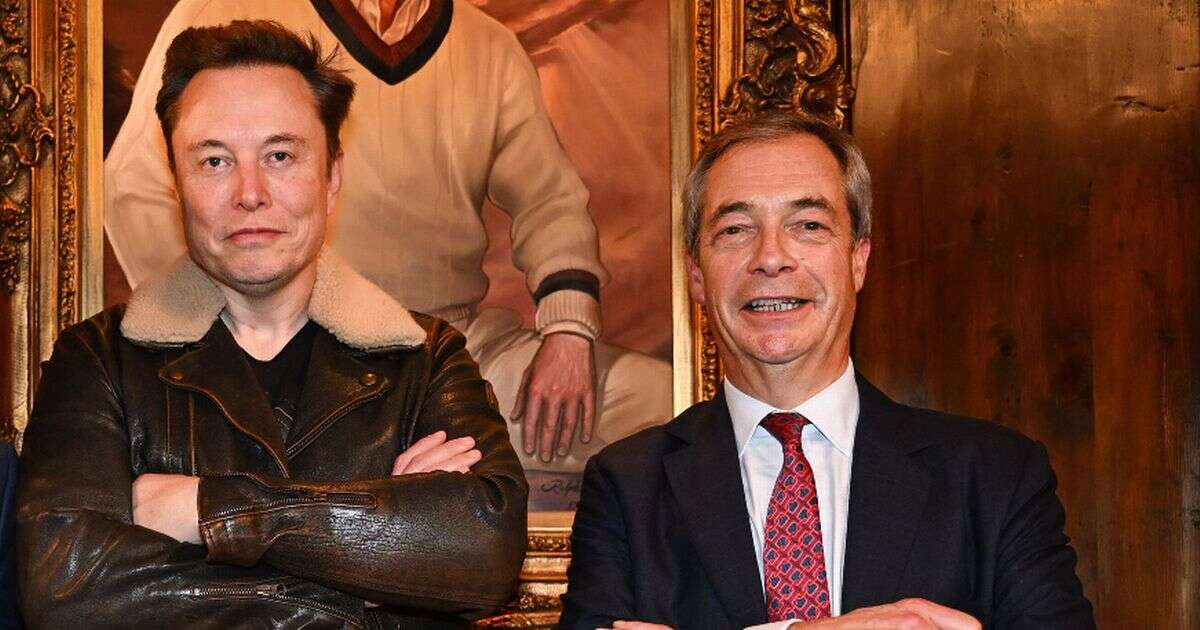 Elon Musk says Nigel Farage must go hours after Reform boss calls him a 'hero'