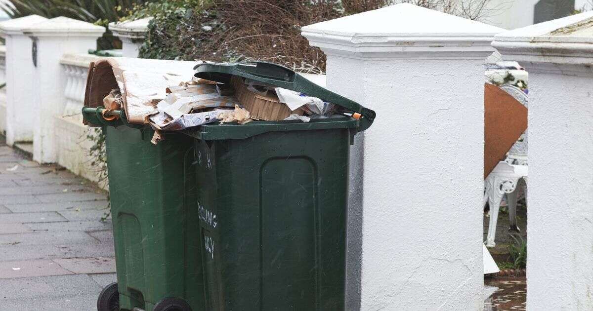 Bin man's vital advice about 'putting things in right bins' after Christmas