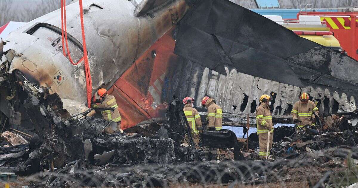 South Korea plane crash mytery deepens as expert slams 'almost criminal' error