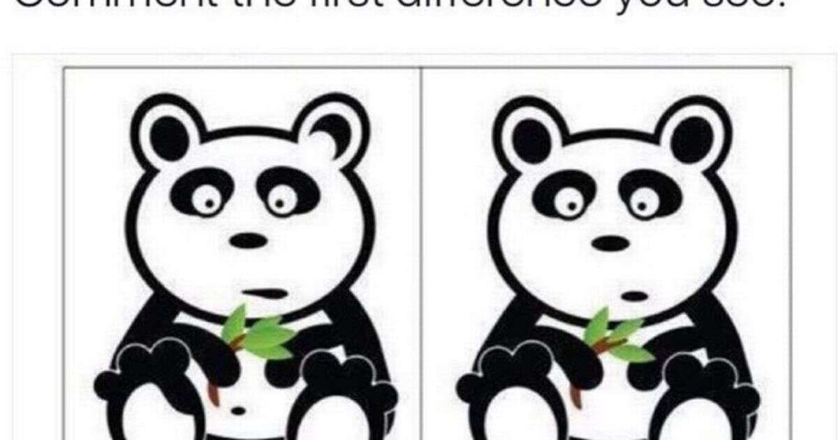 Only those with perfect observation skills can spot differences in panda pic