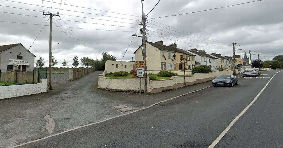 Son was minding elderly father for the night when they perished in Tipperary fire