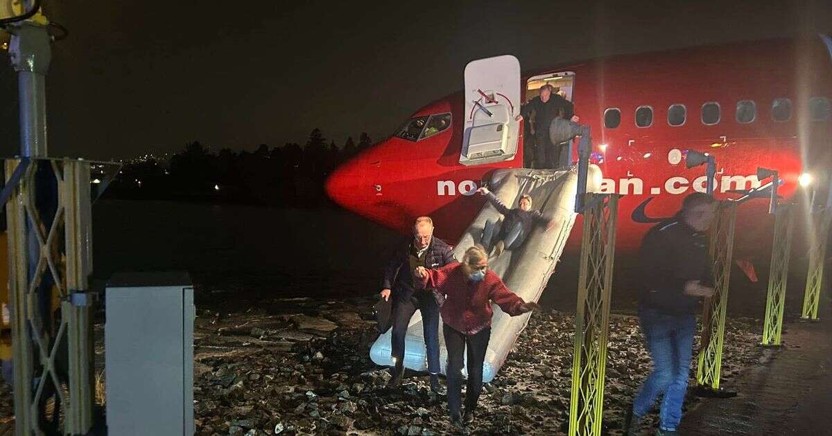 Dramatic pictures show plane just yards from sea after overshooting runway