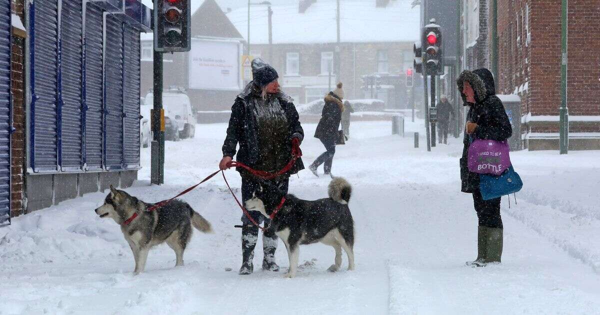 UK weather: Full list of counties to see snow as -17C mercury change sends Brits shivering