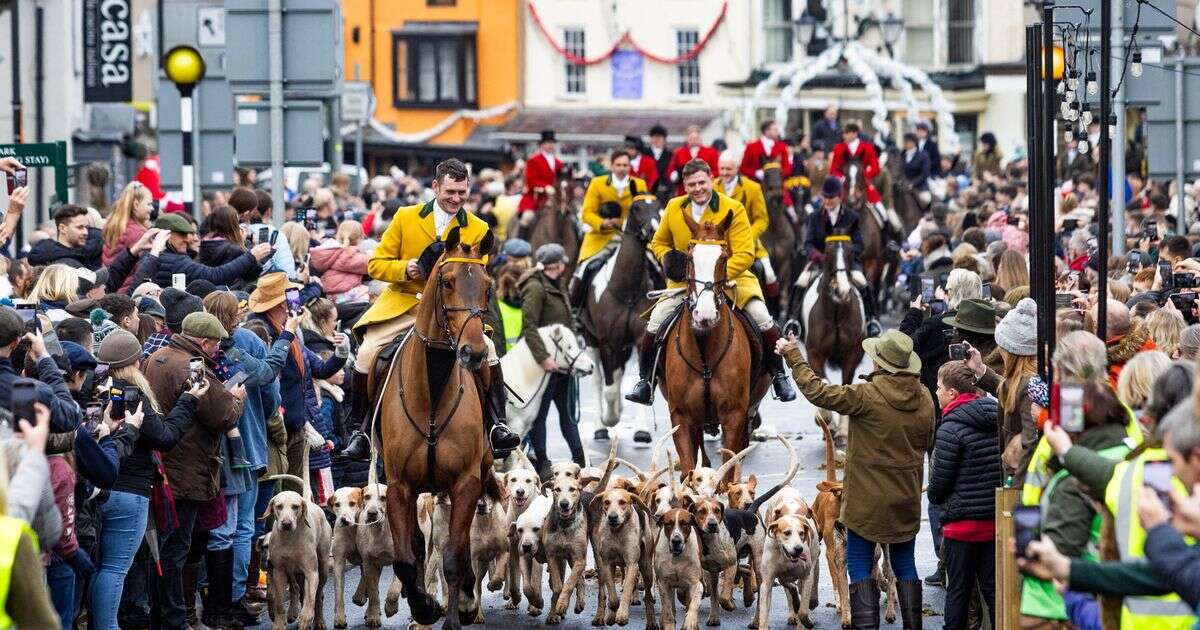 Fox hunters could be slapped with bigger fines - as activists demand jail time