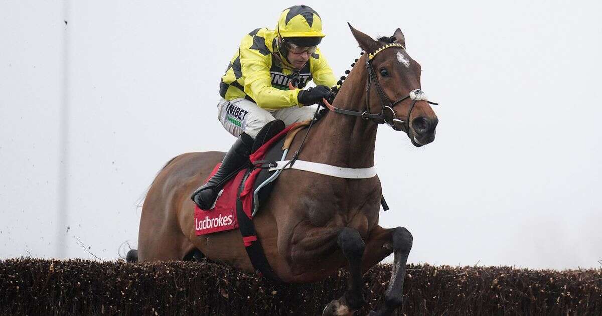 Sir Gino's ‘frightening’ debut over fences leads to major Cheltenham Festival move