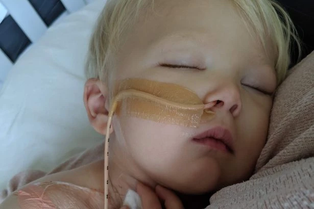 Toddler left fighting for life after falling ill on holiday in Egypt