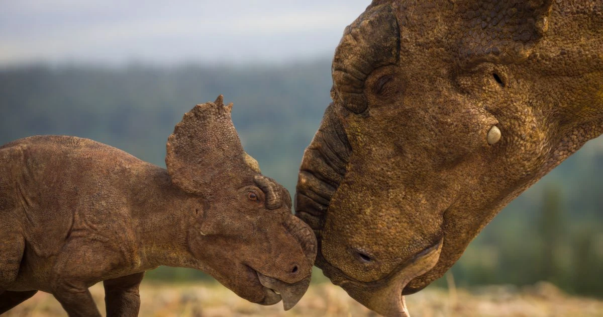 opinion'I went hunting for dinosaurs in the surreal Canadian Badlands'