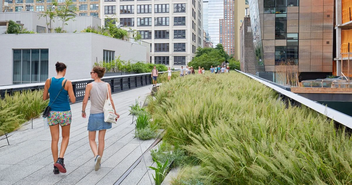 opinionEight things to do in New York including the free 'park in the sky'