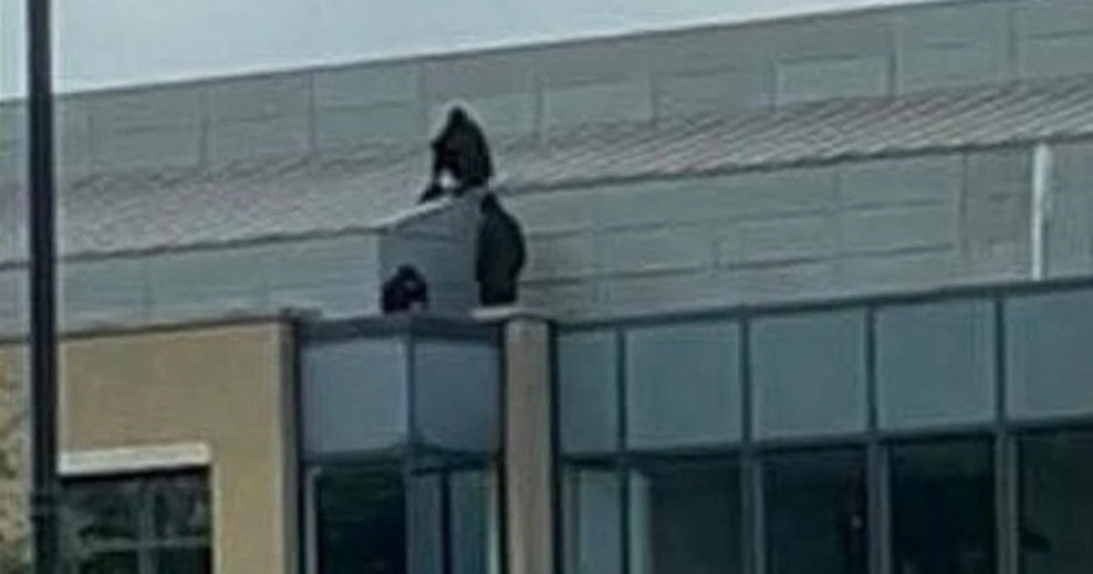 LiveKings Hill LIVE as 'men in balaclavas' scale huge building with armed police rushing to scene
