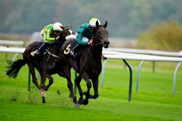 'Beaten Oaks filly can gain compensation' – Jason Heavey's Wednesday tips