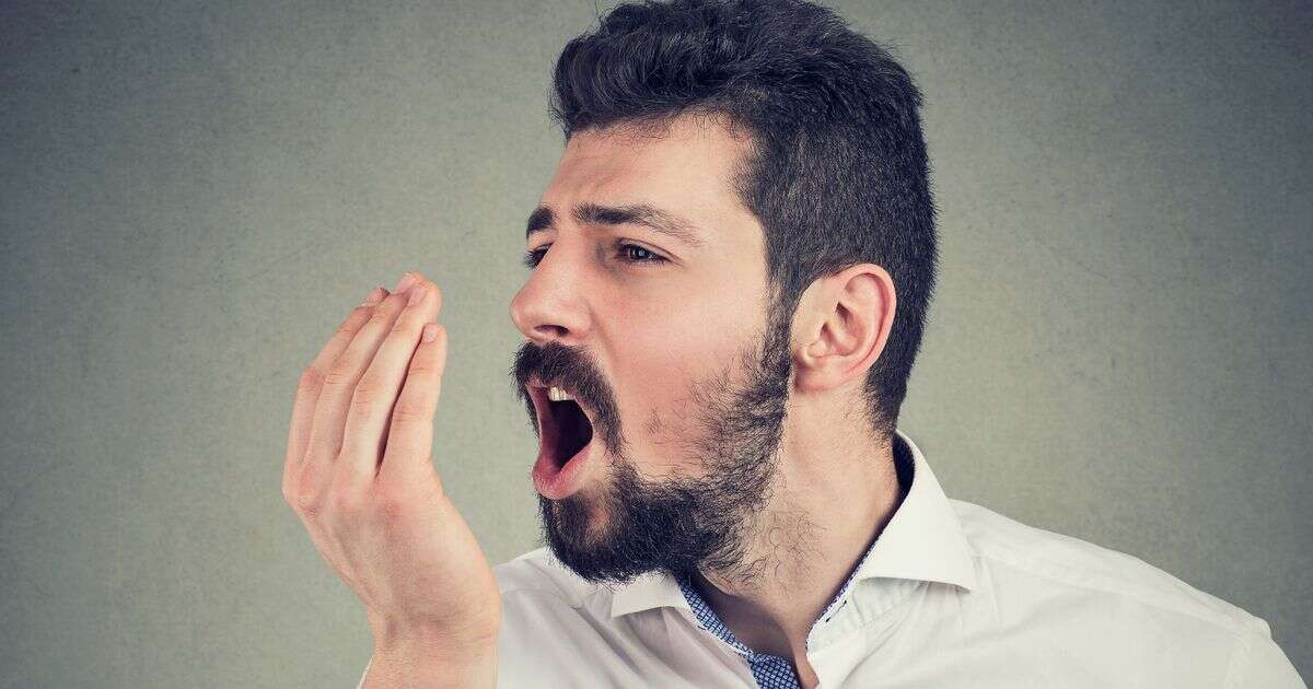 Bad breath may be 'cured' with common snack - it's particularly effective against garlic