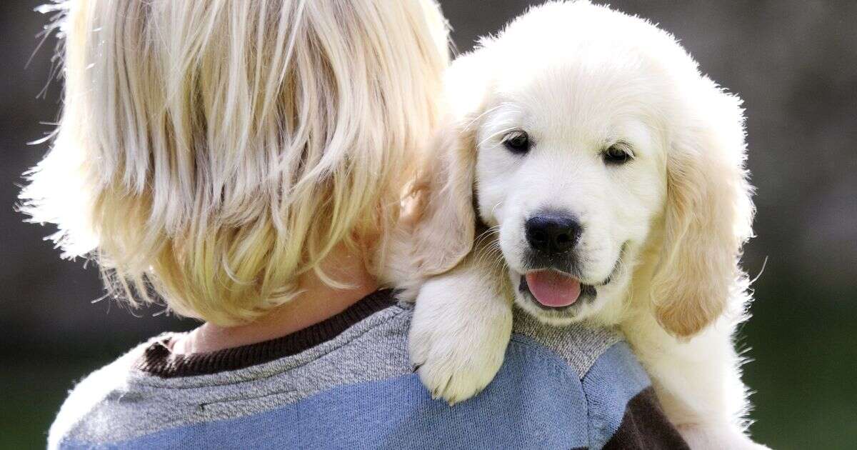 Woman baffled as mother-in-law tries to steal her puppy and gift it to daughterWeird News