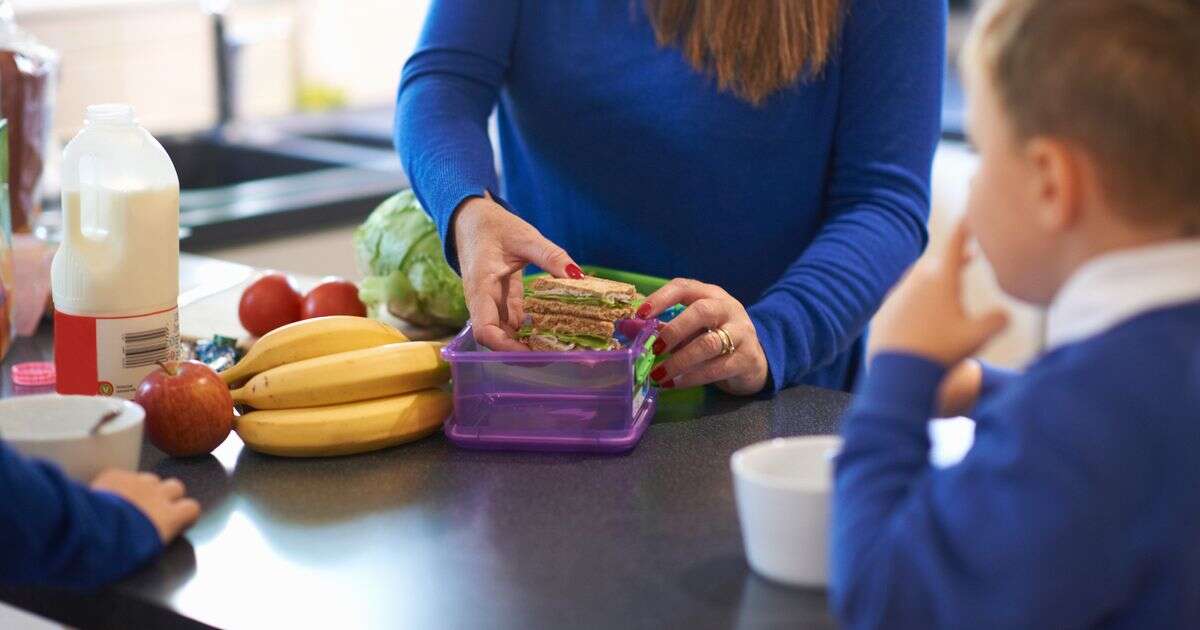 Tasty snack to include in your child's lunchbox which will help them thrive in schoolFood