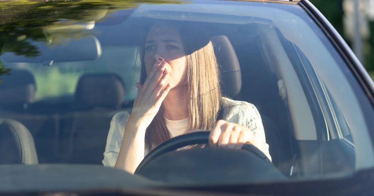 Motorists warned about 'graduate driver restrictions' as new law could be introduced