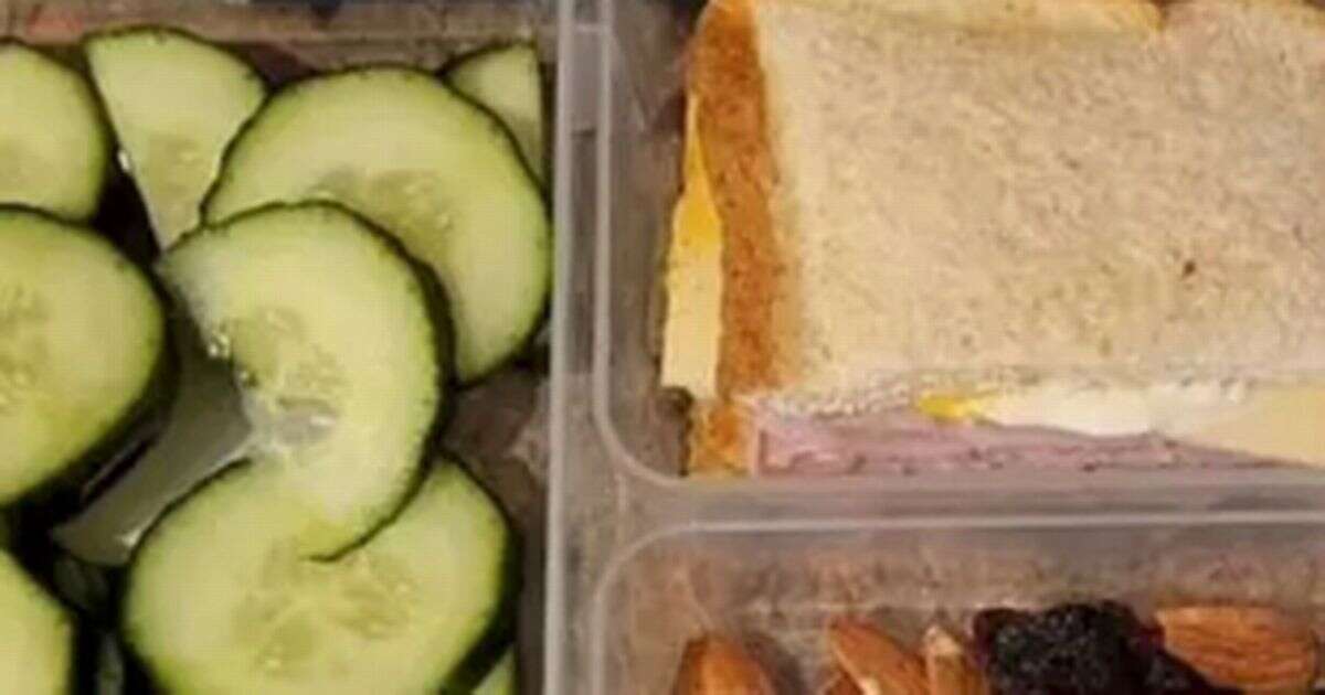 Mum livid after receiving warning note from son's teacher over his lunchboxSchools