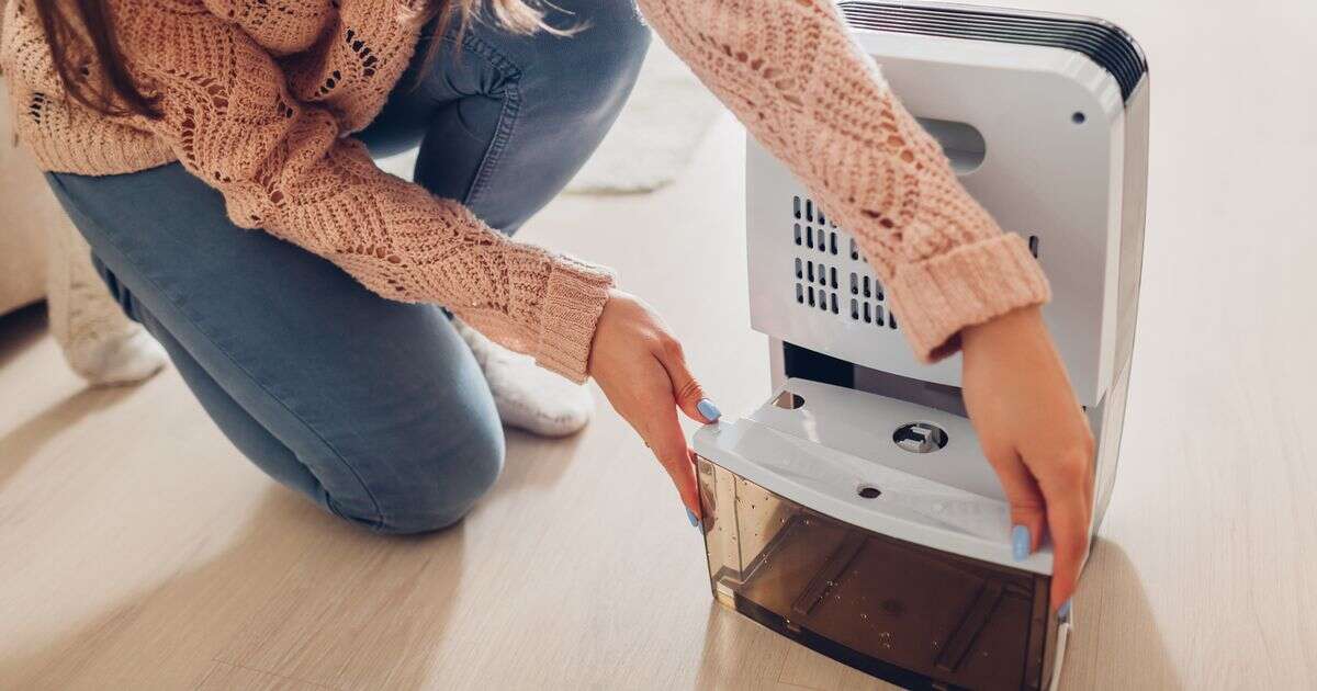 Heating expert's urgent warning as dehumidifier mistake can increase chance of mould