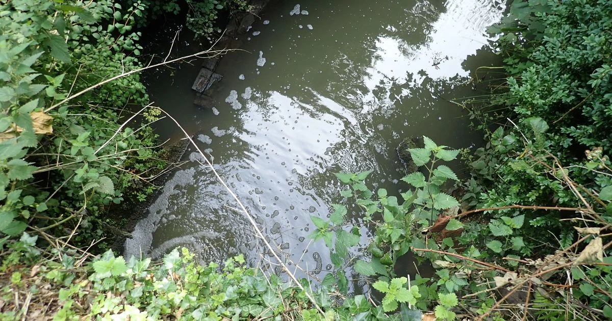 Southern Water fined just 0.117% of profits after being caught pouring raw sewage in river