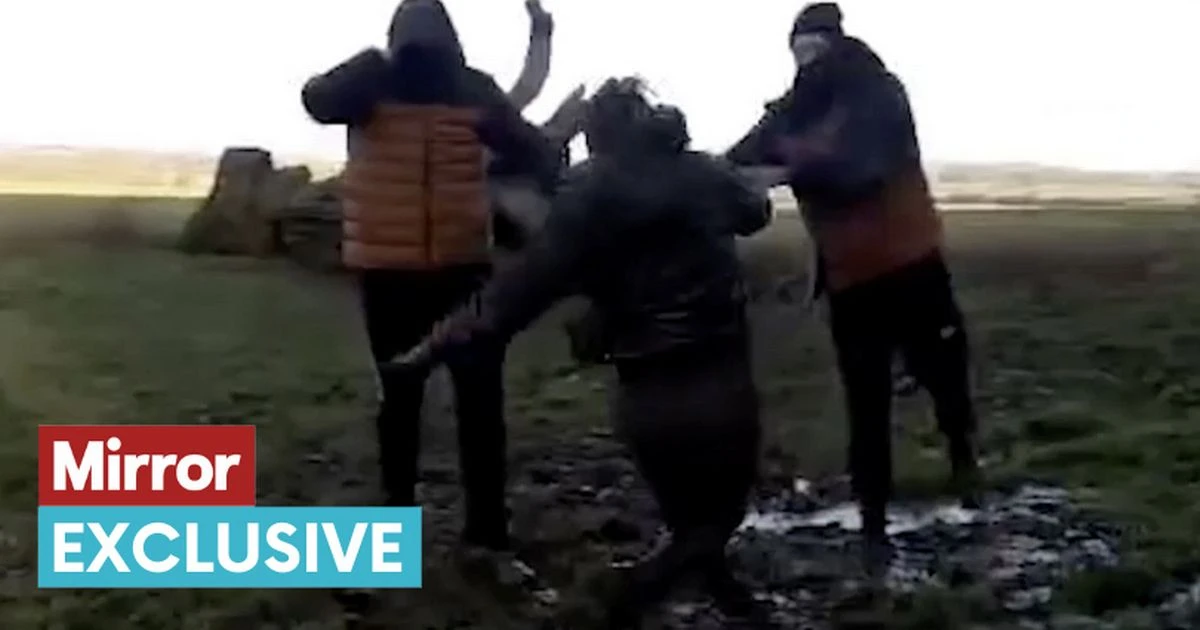 Inside violent reality of fox hunting as saboteurs risk their lives to stop the blood sport