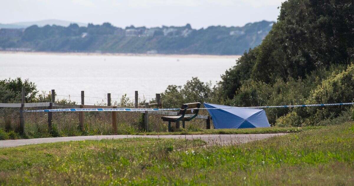 Simon Shotton: Cops resume search for head after body parts found across UK seaside town Dorset Police