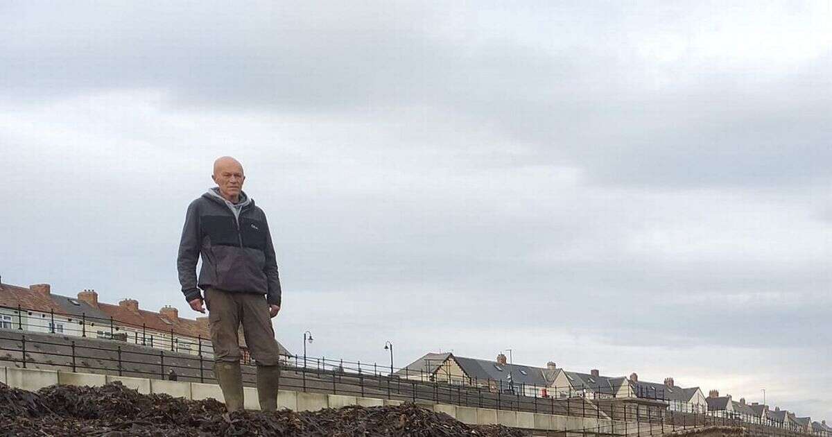 Urgent warning for dog owners after small sea creatures wash up on the beach in their thousands