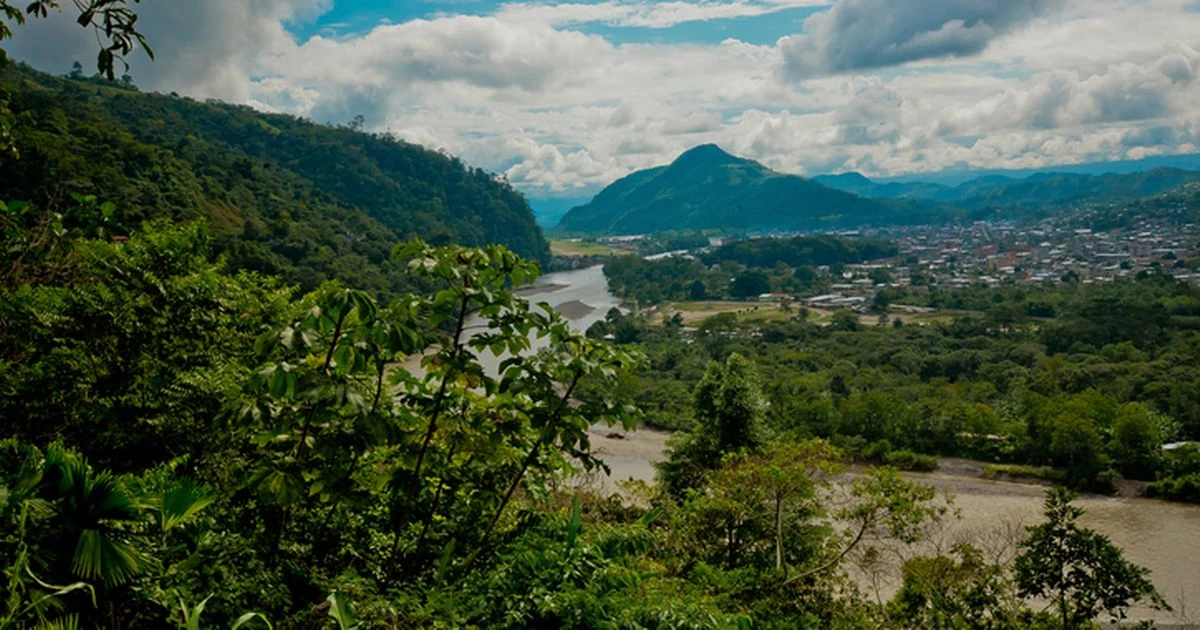 Mystery Peru virus that 'can't be explained by mutation' infects man with odd symptoms