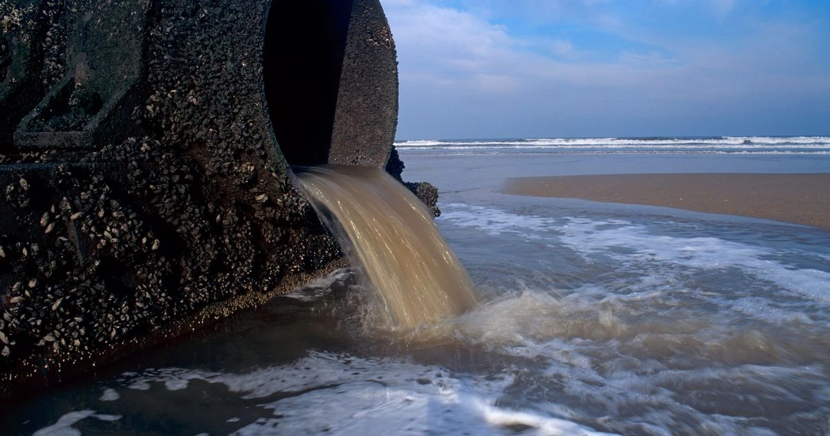 Water bosses trouser £25million in bonuses despite sewage dumping scandal