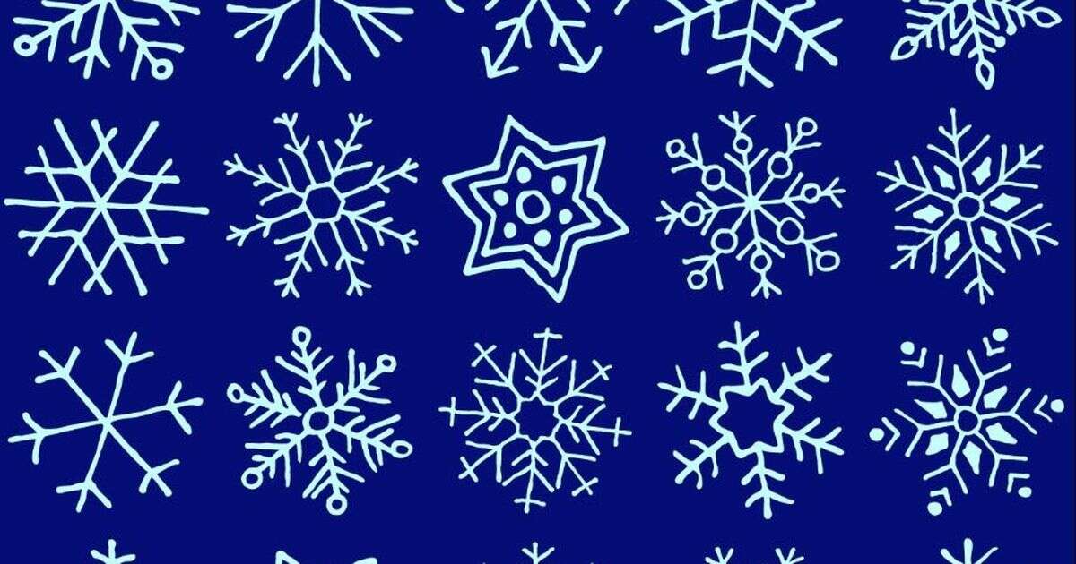 Only people with crystal clear vision can spot matching snowflakes in just 30 seconds