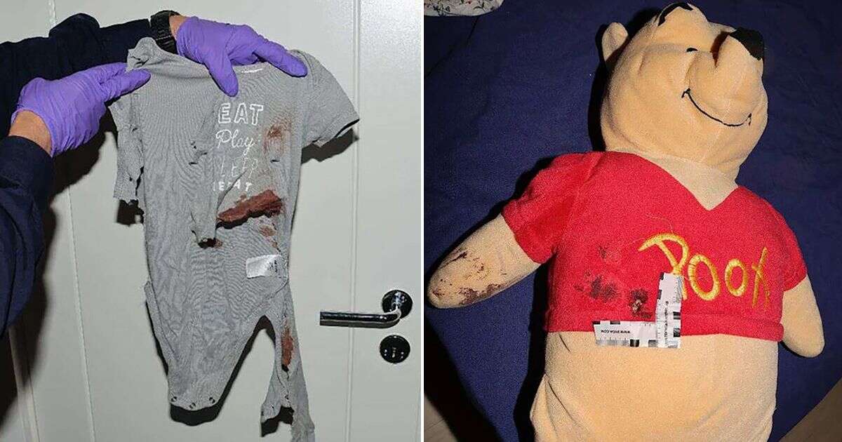 Girl, 2, saved from bullet by Winnie the Pooh toy after teen hitman opens fire in home