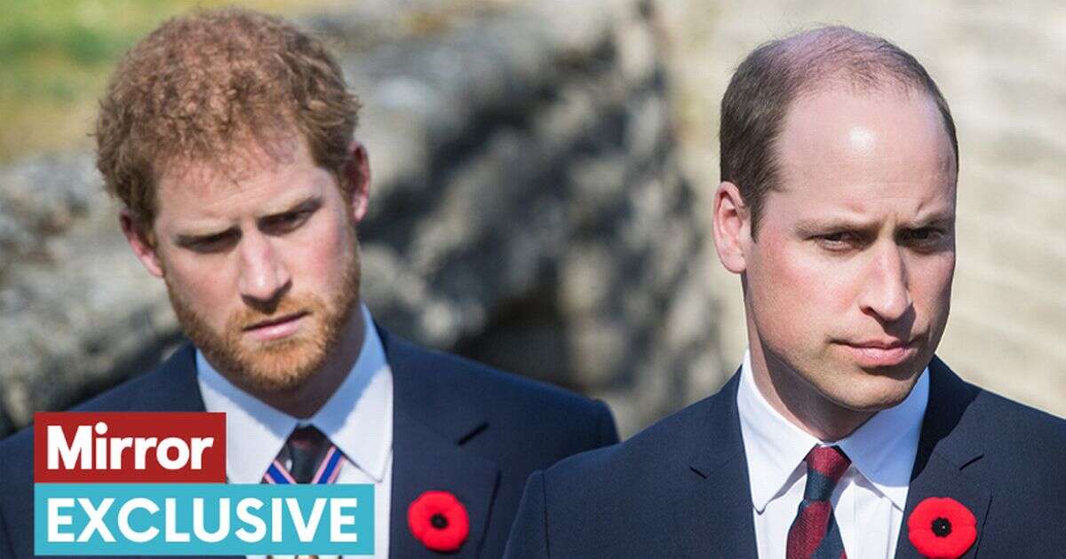 Hidden reason Prince William 'cut ties' with Prince Harry revealed by expert